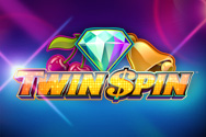 Twin Spin logo